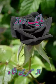 Black Rose by Samreen Shah